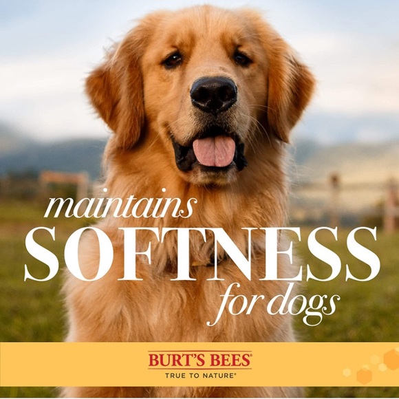 2 in 1 dog flea comb by Burt’s Bees - Picture 4 of 5